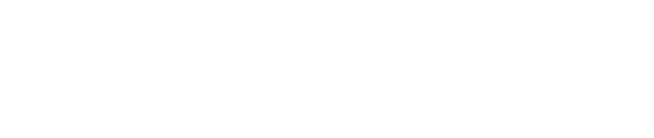 SorceTek Technology Group